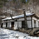 위브꽃