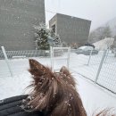 피플펜션 이미지