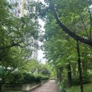 황금건축 | 양천구 목동 7단지 / 황금입지 신시가지 대장 아파트 임장 후기(재건축, 입지분석, 단지정보, 시세, 가격)