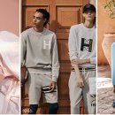 레몬트리 이미지