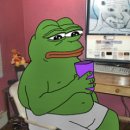 오션피드 이미지