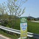 주산리(광주) | 고창 청보리밭축제 고창 학원농장 4월~5월 유채꽃, 청보리축제 행사 다녀온 후기, 주차안
