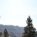 녹차장어가든 이미지