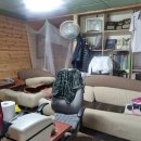 인수다육 이미지