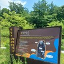 더조은관광 이미지