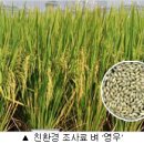 영우환경 이미지