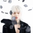 팀 (T. I. M)