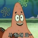 볼로그 이미지