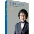 집단지도체제는 내각제다: 내각제 반대하듯 집단지도체제 반대한다 by 김진애 이미지