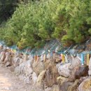 동선샛바람길 이미지