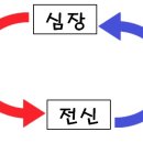 복약국 이미지
