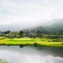 선운골프존 이미지