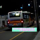 학성종합시장 이미지