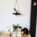 둥지세차장 | 특별한 제주 김밥 맛집 제주또시랑 돌담김밥 내돈내산