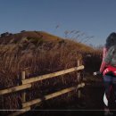 이영춘「들풀」 이미지