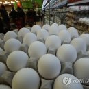 대한계란유통 이미지