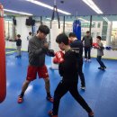 PK복싱클럽 이미지