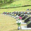 거창-거창-7 이미지