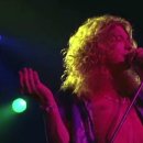 HEAVEN DOG 이미지