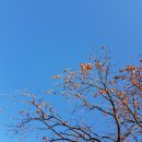 하촌할머니 네이버블로그