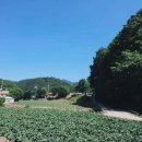 맑은물펜션민박 이미지