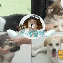 또또 &Ｉ