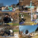 스테이케이션