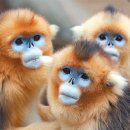 파인짐(FINE GYM) 이미지