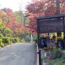 장흥수목원펜션 이미지