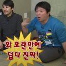 초량애견 | 6.7-8 벅뚜벅뚜 애견동반 부산여행