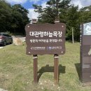 왕우목장 | 강원도 평창 여행 데이트코스 대관령 하늘목장 전망대 추천