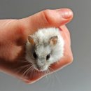 작은친구 이미지