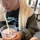 평화동-07 | 이거 사면 강아지 인싸됨! [스타벅스 프렌즈 미니 백 + 하네스 홀리데이 한정판 에디션]