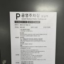 롯데몰 횡단보도 | 석촌호수 벚꽃 🌸 실시간 개화 상황 + 주차 꿀팁 총정리