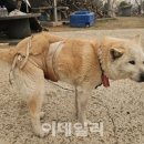 김영환농장 이미지