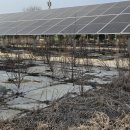 은평2 태양광발전소 | 태양광 발전소 바닥 필름, 잘못 고르면 매년 손해입니다