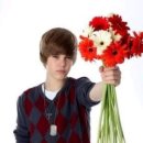 새들의 아침 이미지