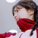 남매비