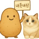 파스타입니다대명점 이미지