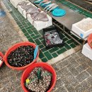 기차마을전통시장 버스정류장 | 곡성 매월 3, 8일마다 열리는 5일장 곡성 기차마을 전통시장 장날
