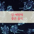 ＜암예방에 좋은 음식＞ 이미지