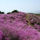 동아아파트 - 석사사거리 이미지
