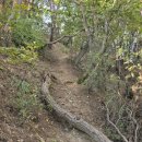 대성사앞 이미지