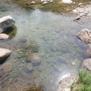 산골산장