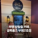 테마 | 부평 방탈출 카페 스탕달 신드롬 테마 쫄보 공포 테마 후기