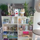 개이쁜냥 이미지