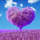 물만 먹어도 살쪄? 기초대사량 늘리는 7가지 이미지