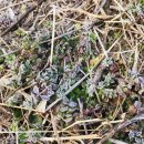 일중농장 이미지