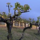 지산오차드힐 주차장 | 울산 언양 카페 추천 오차드힐 내돈내산 솔직후기