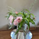 브라운피크닉 이미지